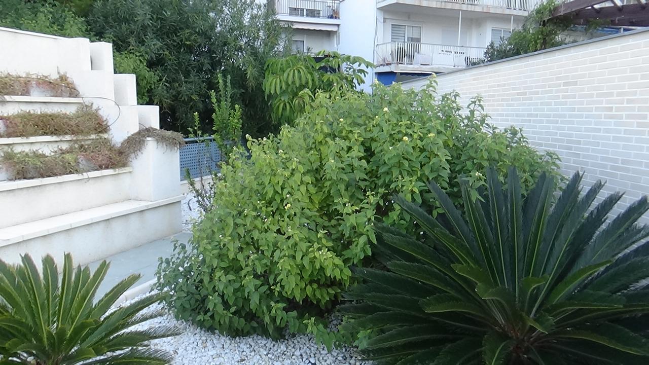 Aпартаменты В San Juan Playa Alicante Extérieur photo